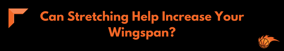 Can Stretching Help Increase Your Wingspan