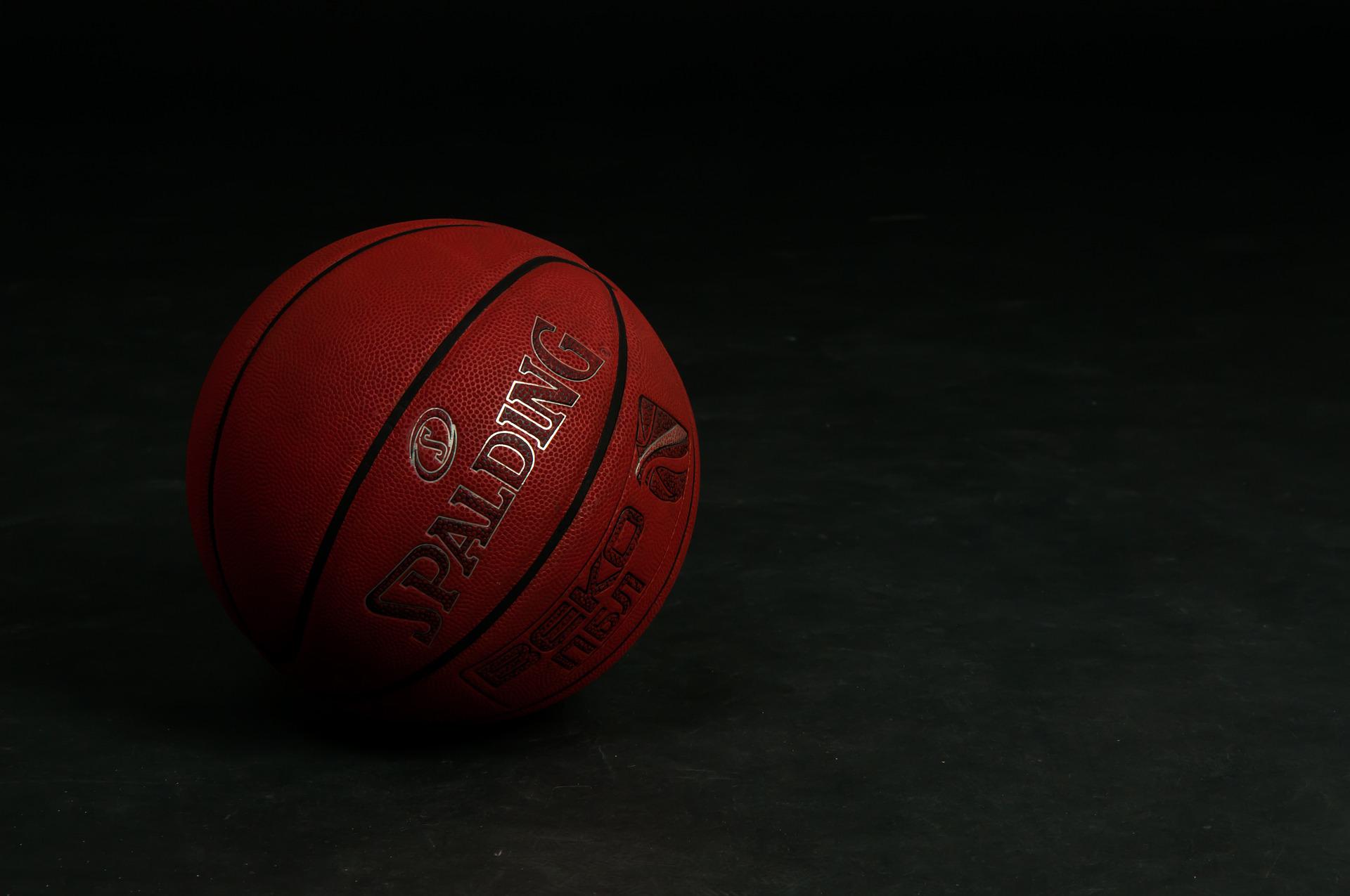 What are the Features of Spalding TF-1000 Basketball