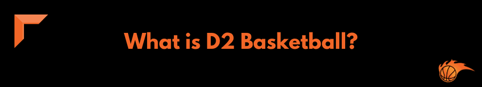 What is D2 Basketball