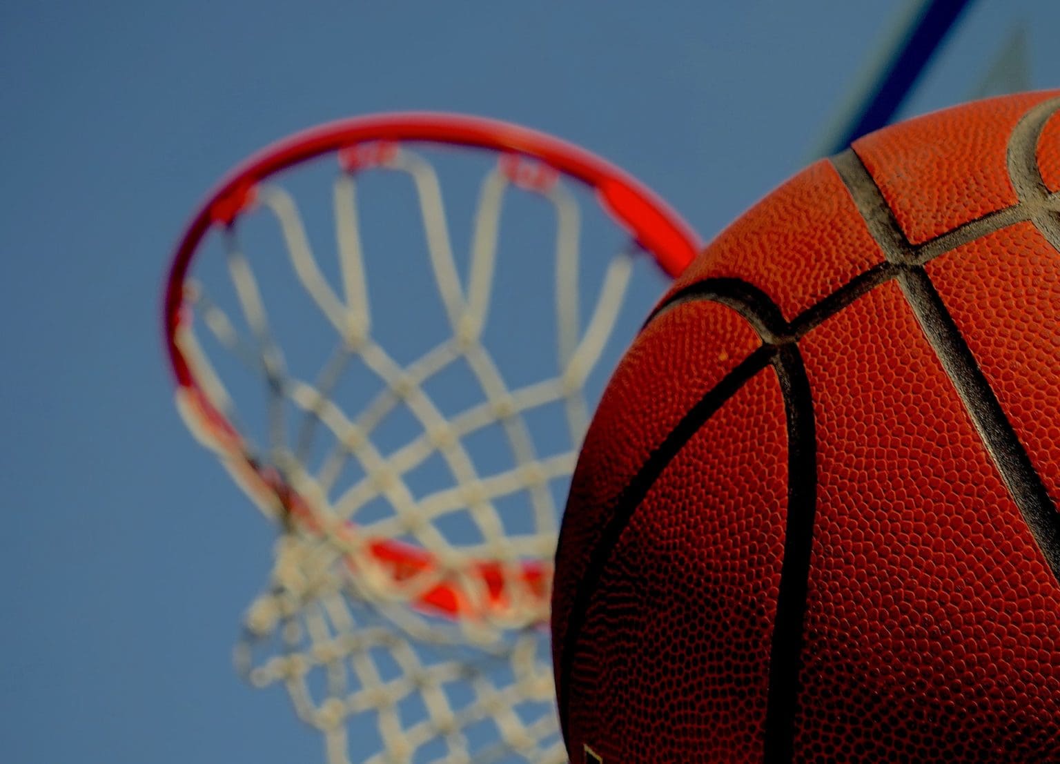 How to Get Scouted in Basketball? Hoops Addict