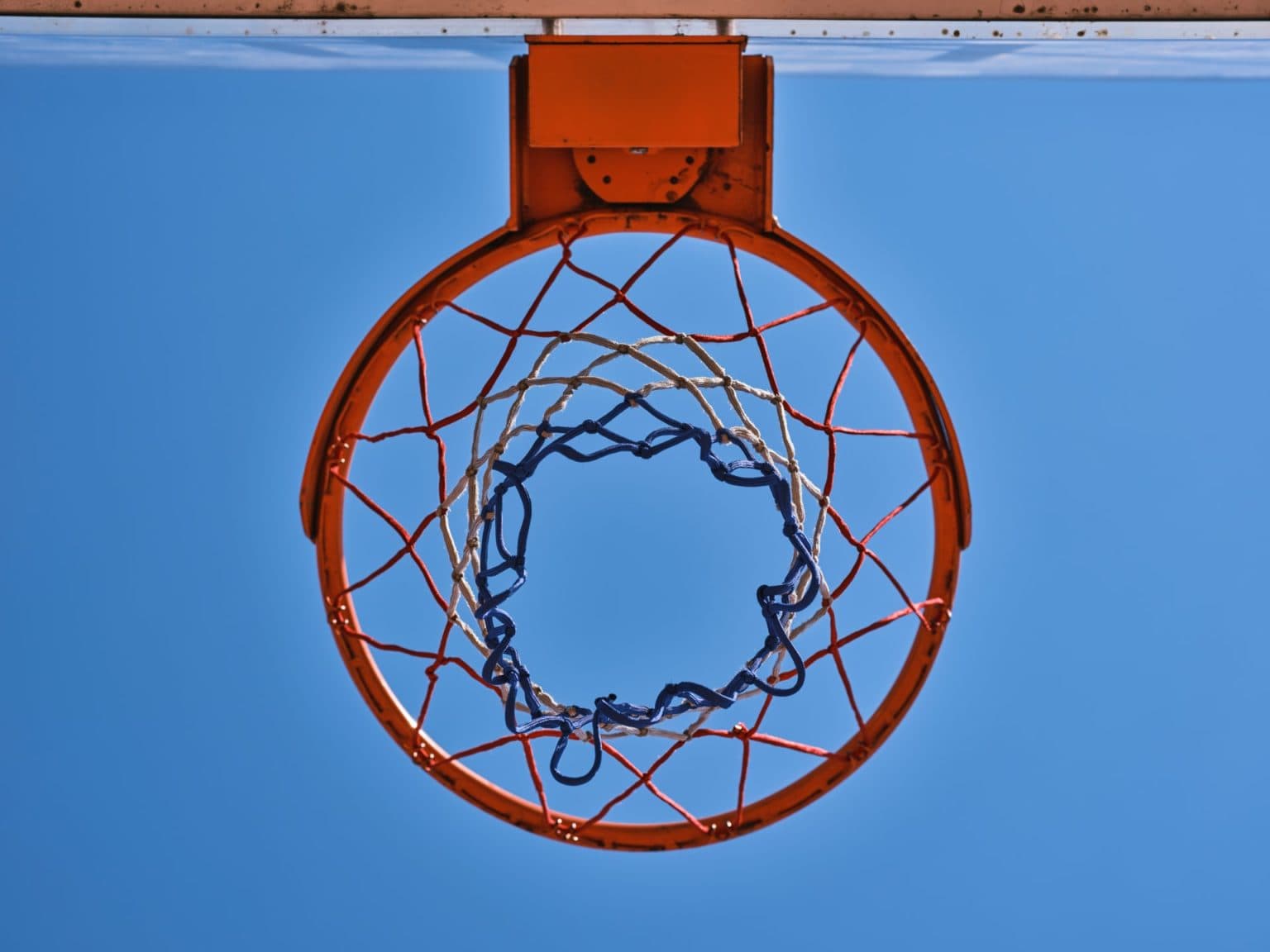 How to Get Scouted in Basketball? Hoops Addict