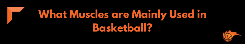 What Muscles are Mainly Used in Basketball