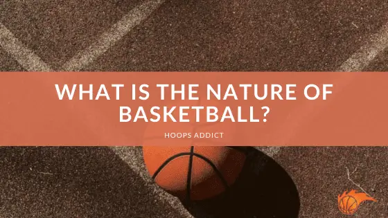 What is the Nature of Basketball