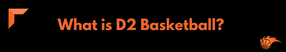What is D2 Basketball 