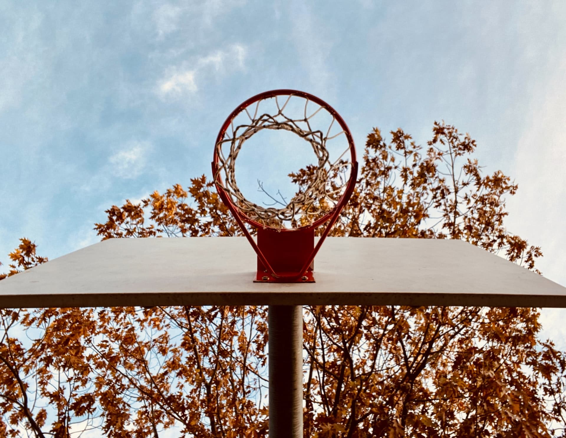 How to Block a Shot in Basketball Hoops Addict