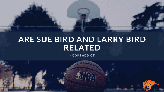 Are Sue Bird and Larry Bird Related